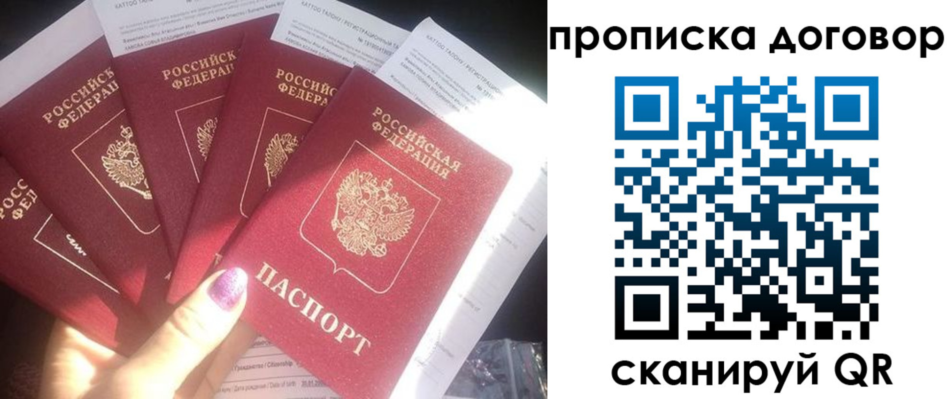 где прописаться в Сосновом Бору
